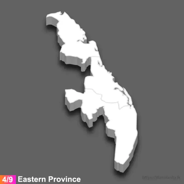 Eastern province 3D map