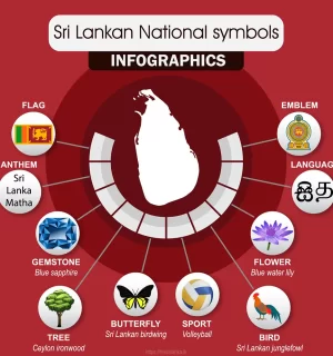 Religion In Sri Lanka Infographic The Sri Lanka Religion In Sri Lanka Infographic The Sri Lanka