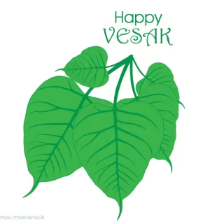 Vesak big bodhi tree leaves