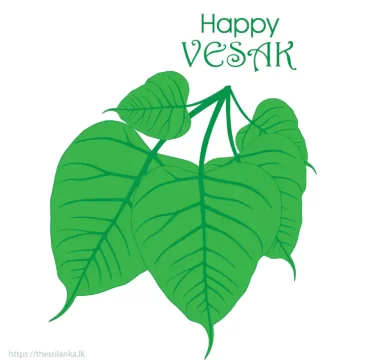 Vesak big bodhi tree leaves