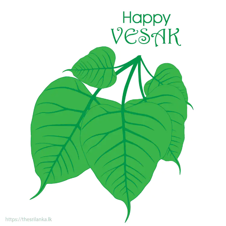 Vesak big bodhi tree leaves
