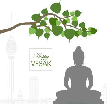 Vesak bodhi tree branch in Colombo