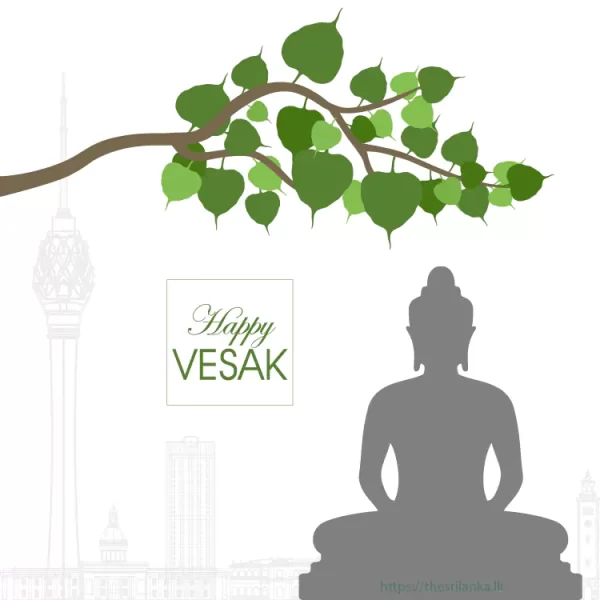Vesak bodhi tree branch in Colombo