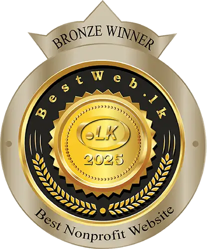 Bronze Award 2025