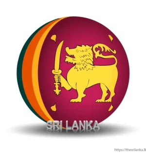 Sri Lankan Flag 3D Vector